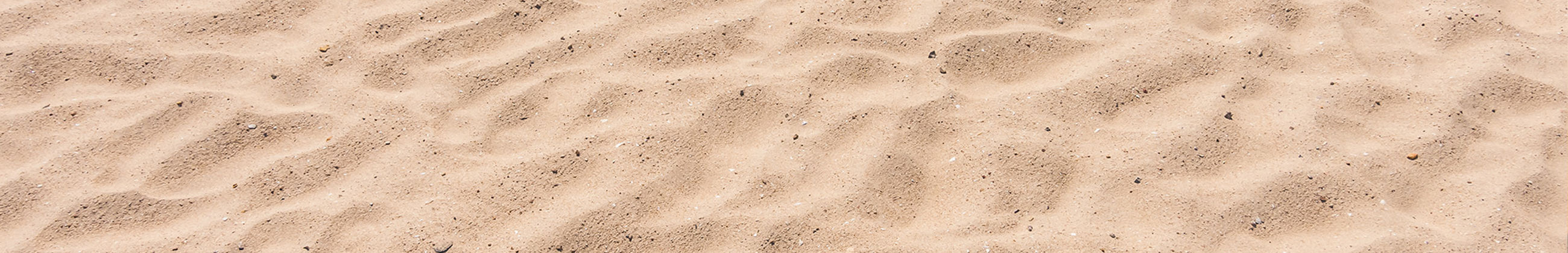 callantsoog vakantiehuis zand