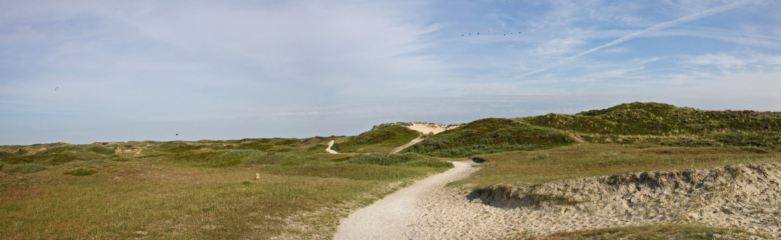 Duinen van Sint Maartenszee