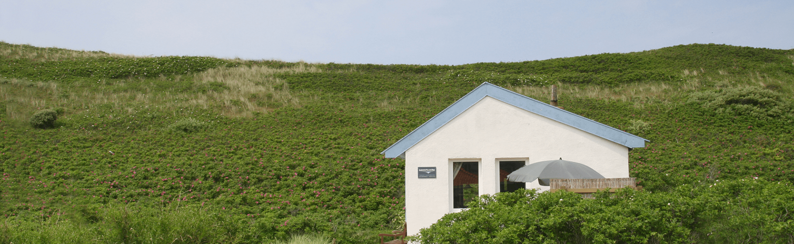 schattig vakantiehuisje in de duinen van Callantsoog