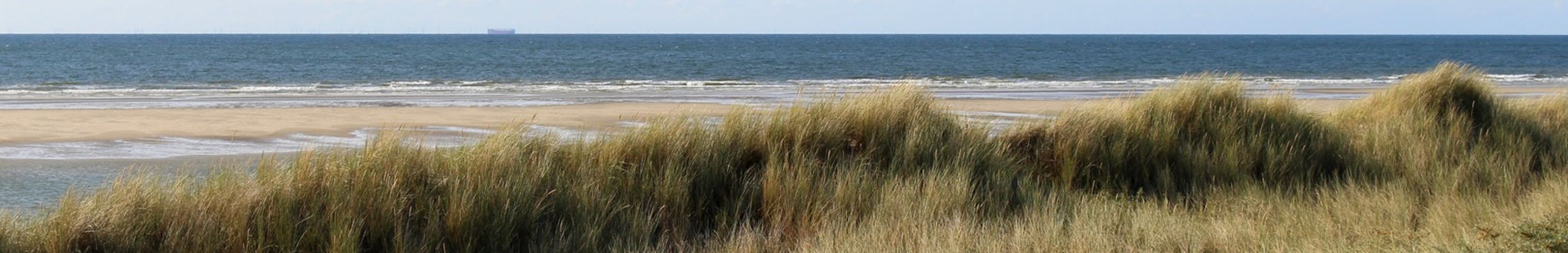 Duinen Noord Holland