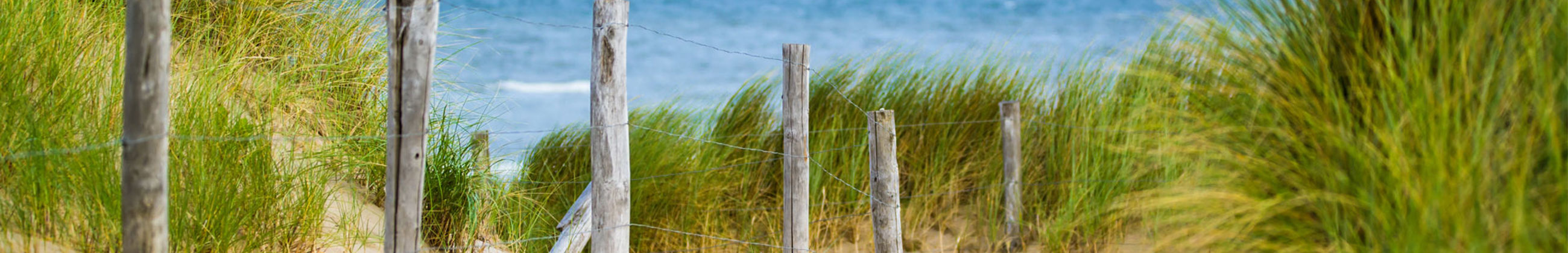 Duinen bij Callantsoog