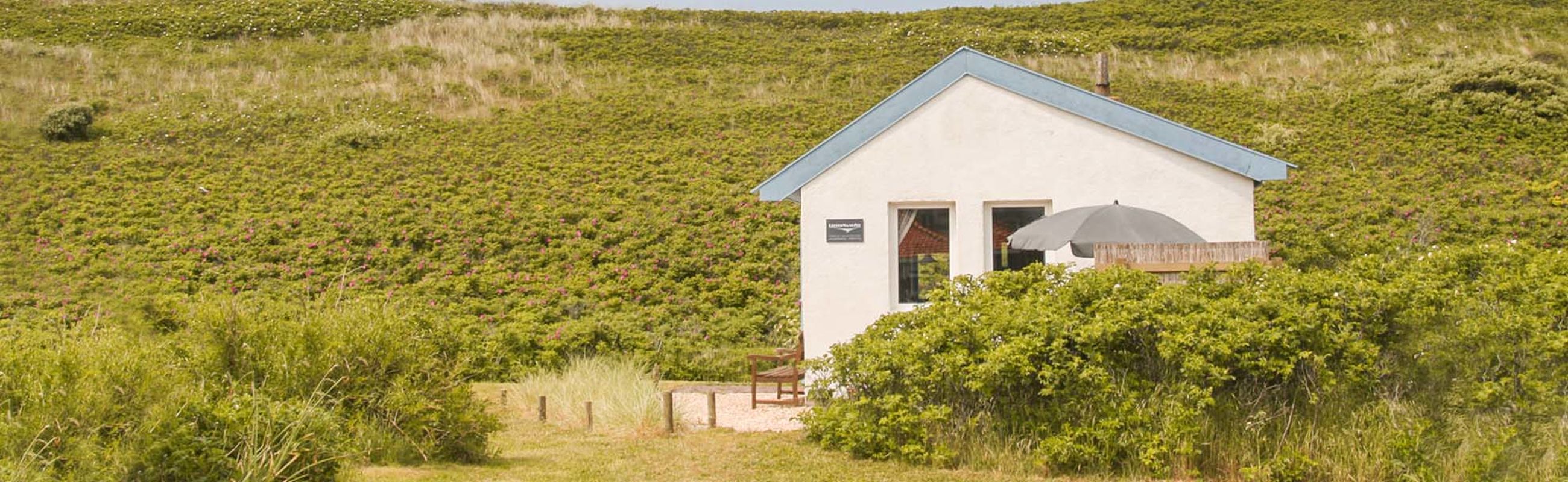 mees vakantiehuis voor 2 duinen strand