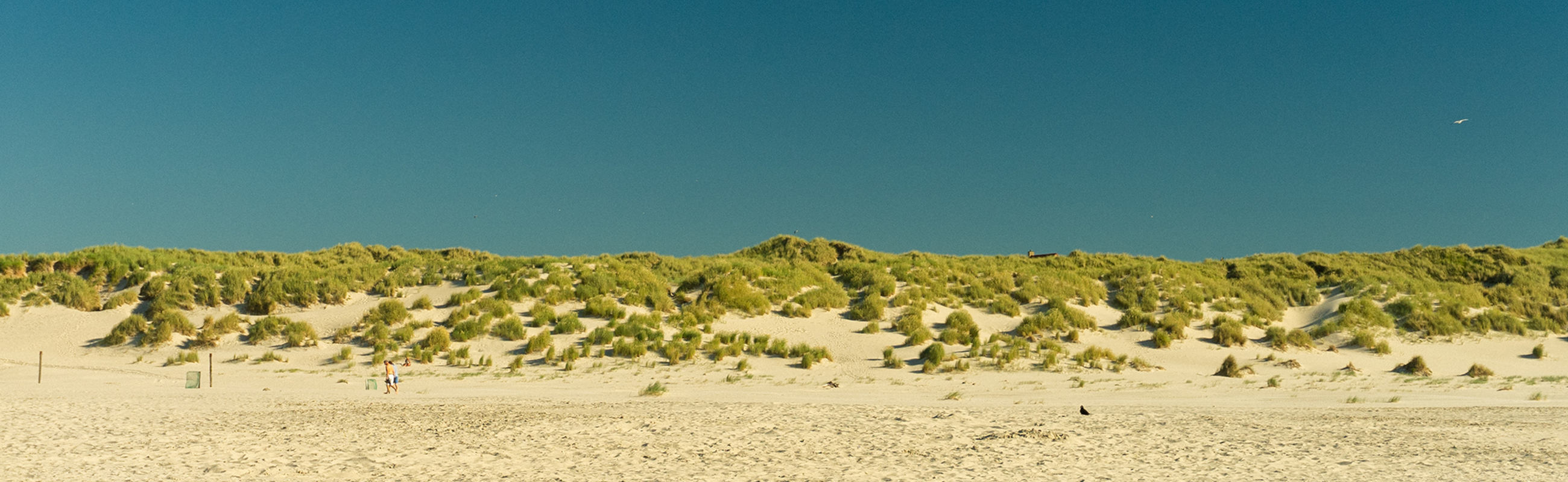duinen strand zon callantsoog