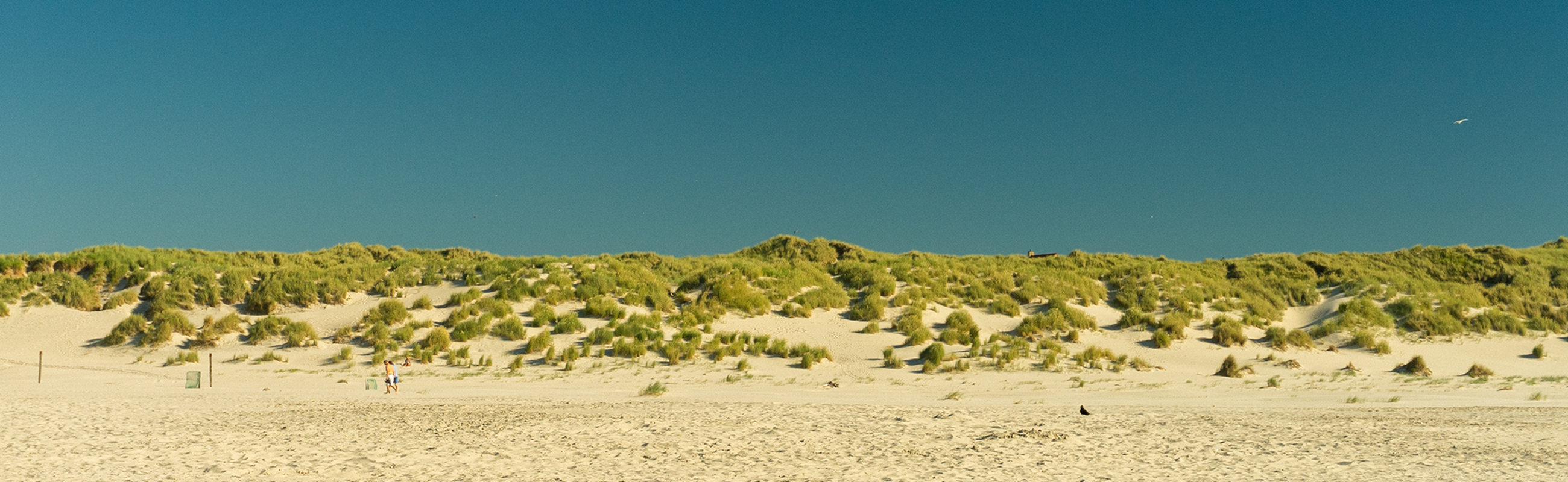 strand duinen zon zee