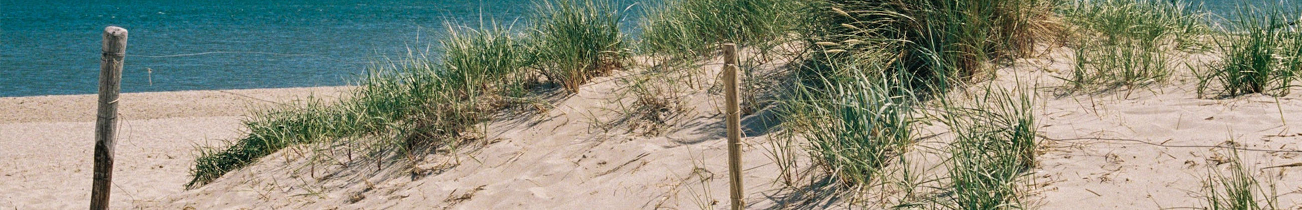 strand zee duinen