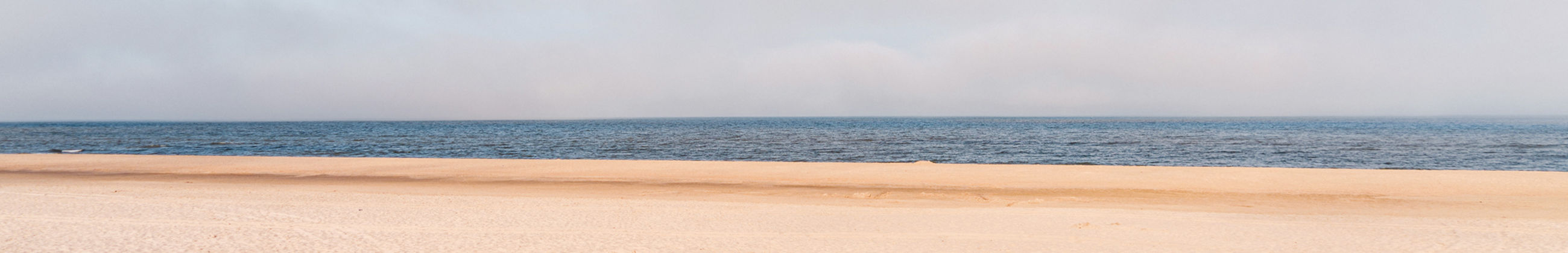 strand zee duinen 