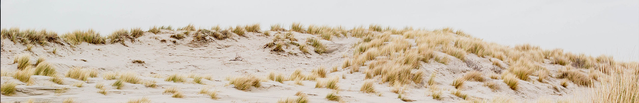 duinen zand