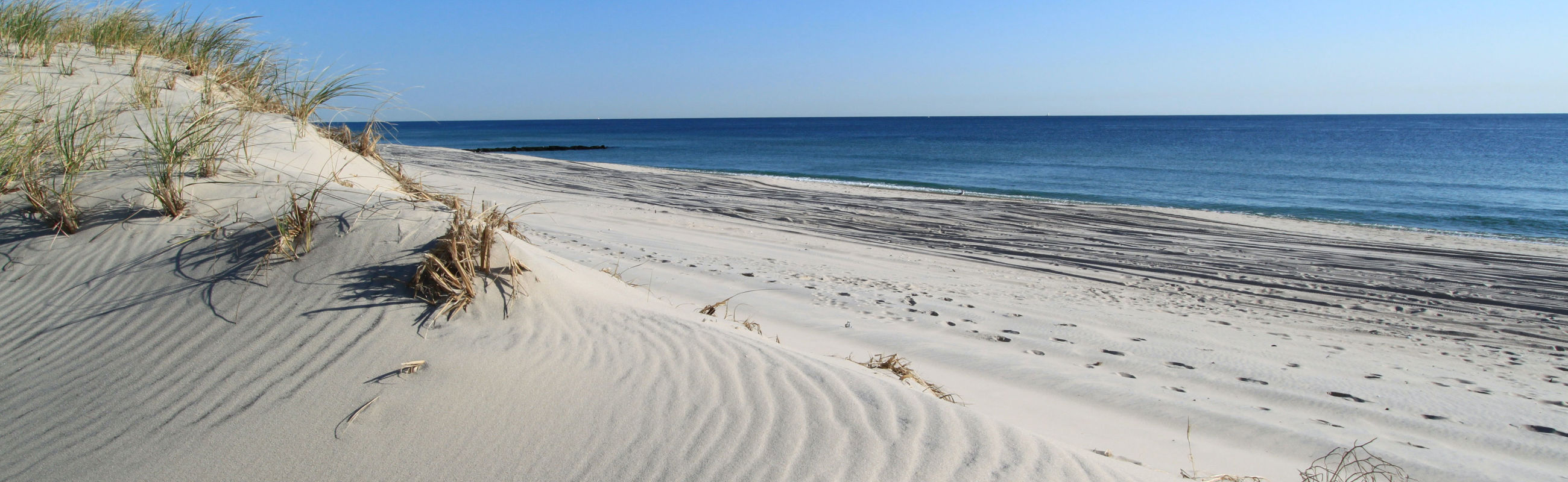 Strand Wandelen in Noord Holland