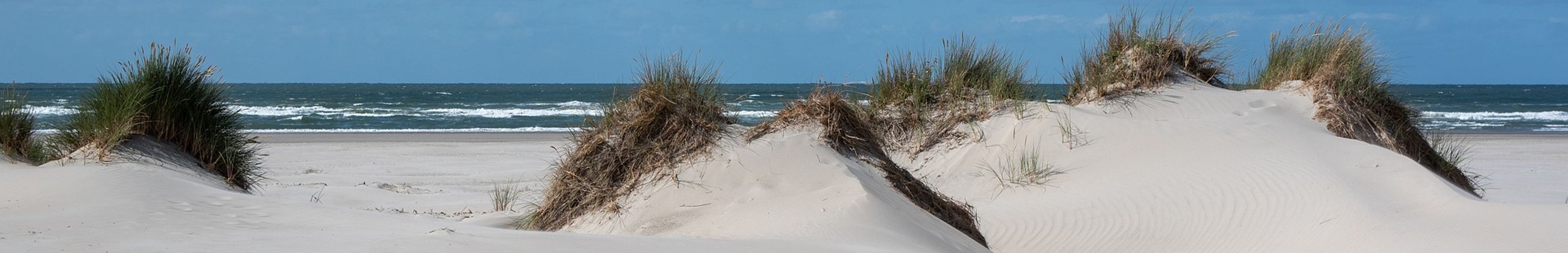 Sand Strand