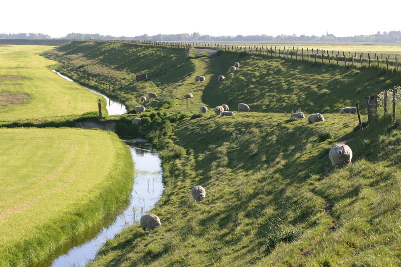 Groen uitzicht