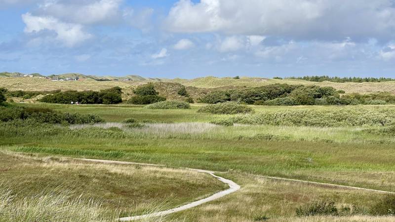 Zwanenwater Callantsoog