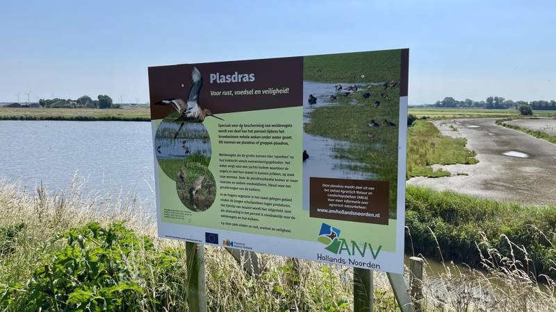 Natuur Omrindijk 