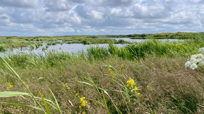 Natuur_Zwanenwater