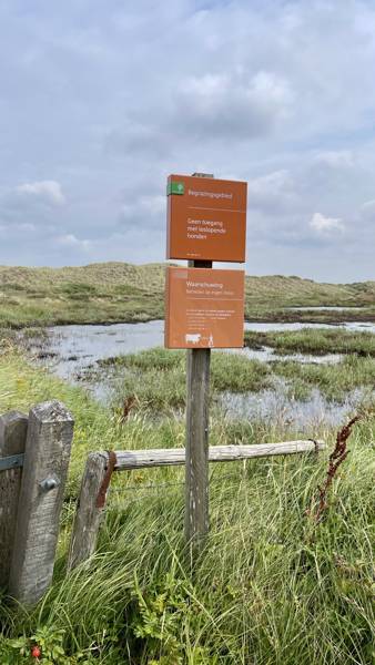 Pettemer_Bos_Duinen