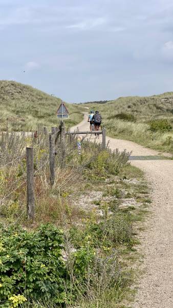 Pettemer_Bos_Duinen