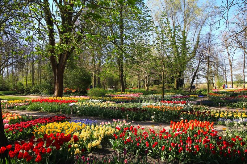 Poldertuin