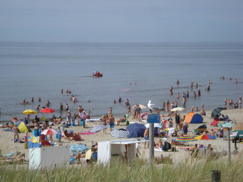 Zwemmen Callantsoog Strandvakantie