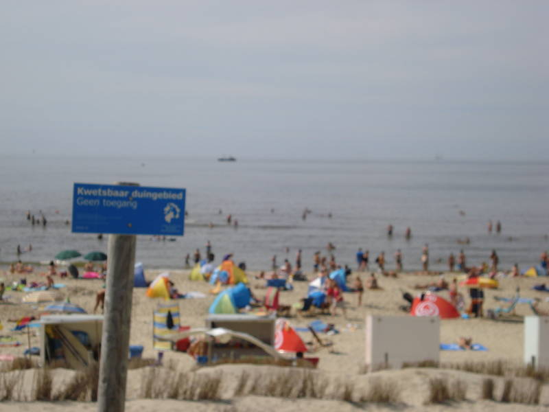 Zwemmen Callantsoog Strandvakantie