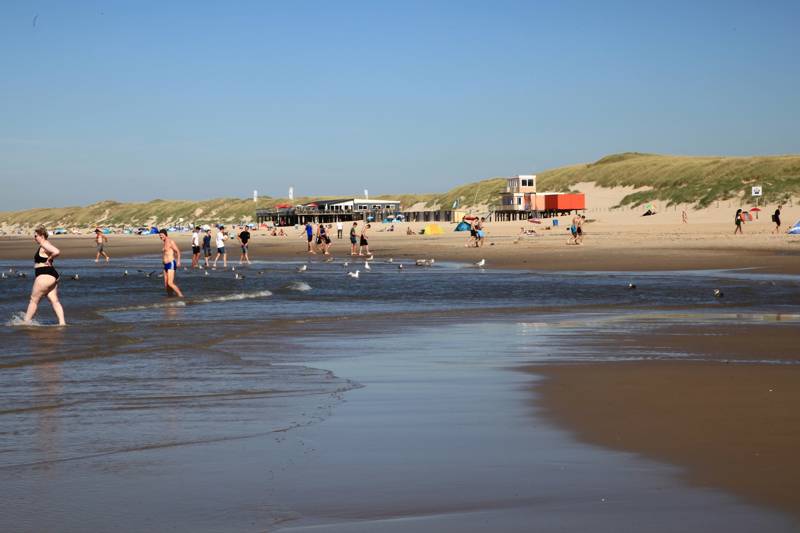 Zwemmen Callantsoog Strandvakantie