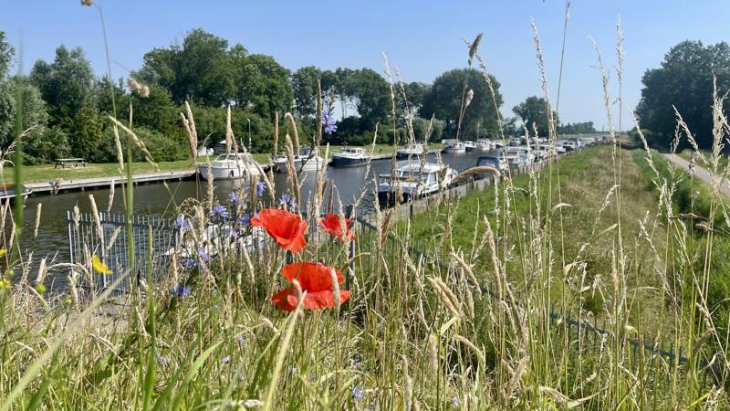 Toeristische activiteiten LekkerNaarZee Callantsoog