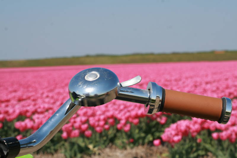 Toeristische activiteiten LekkerNaarZee Callantsoog