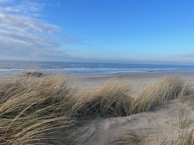 Toeristische activiteiten LekkerNaarZee Callantsoog