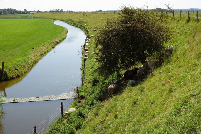 Toeristische activiteiten LekkerNaarZee Callantsoog