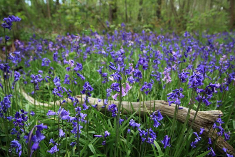 Toeristische activiteiten LekkerNaarZee Callantsoog