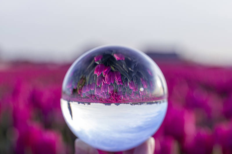 /groepsuitje-voor-vrouwen-aan-zee-ontspan-geniet-in-callantsoog