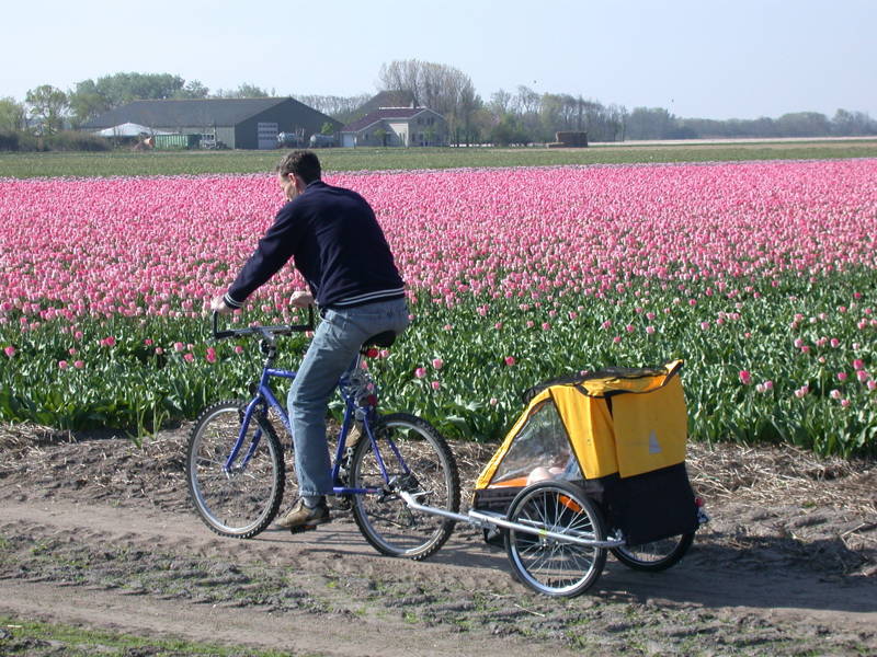 Fietsen rondom Callantsoog