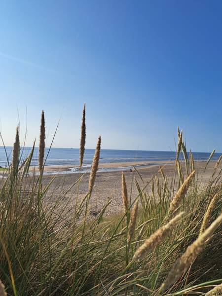 Waarom herstellen met LekkerNaarZee?