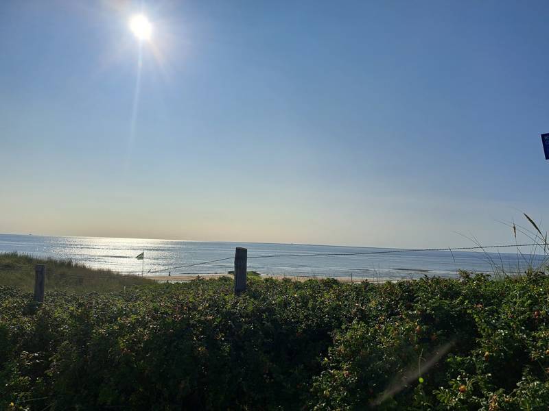 Strandjutten in Callantsoog