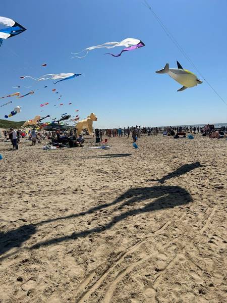 Strandjutten in Callantsoog