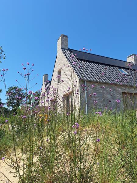 Het perfecte vakantiehuis aan zee kiezen?