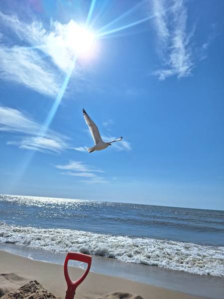 Het perfecte vakantiehuis aan zee kiezen?