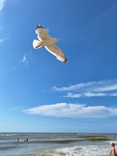 Het perfecte vakantiehuis aan zee kiezen?