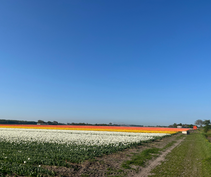 2025 LekkerNaarZee