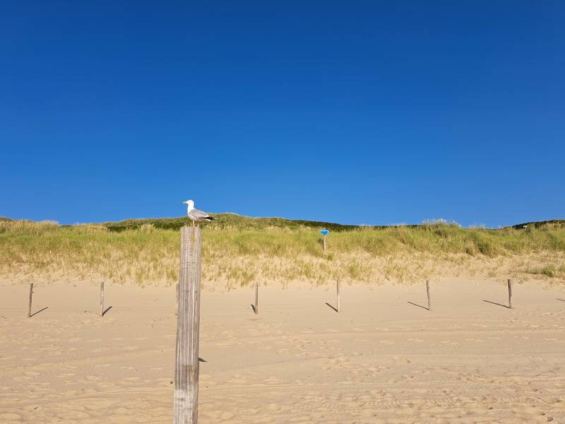 Strand 2025 LekkerNaarZee