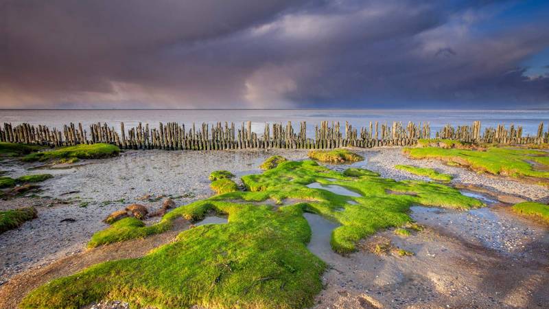 Noordzee vs Waddenzee