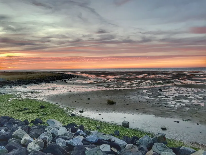 Noordzee vs Waddenzee