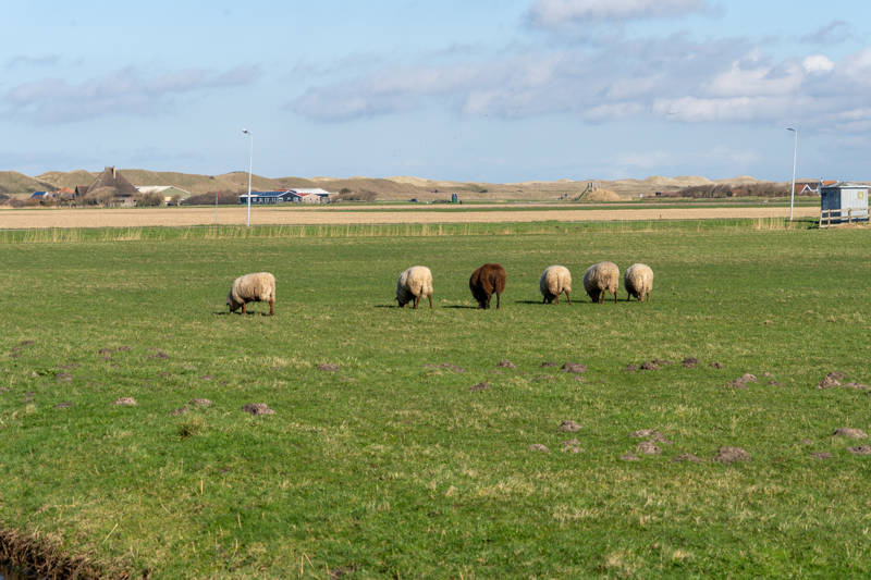 Beste plekken voor een vakantie aan zee buiten het seizoen