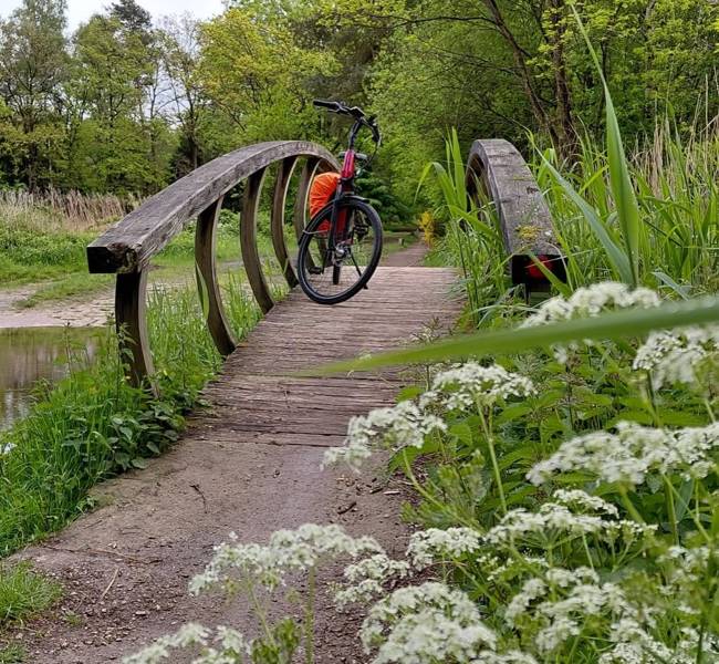 Piet van der Ploeg Fietsverhuur Callantsoog