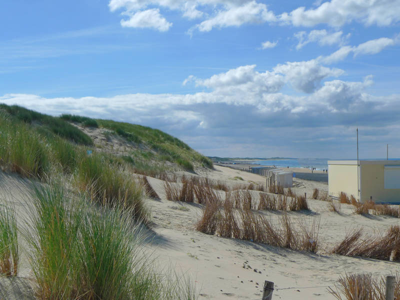 Duinen van Callantsoog