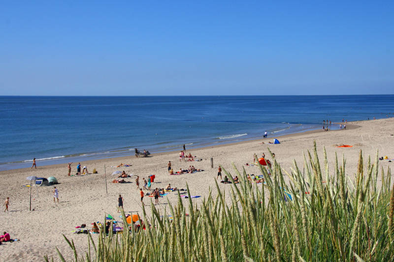 Drukke stranddag in Callantsoog