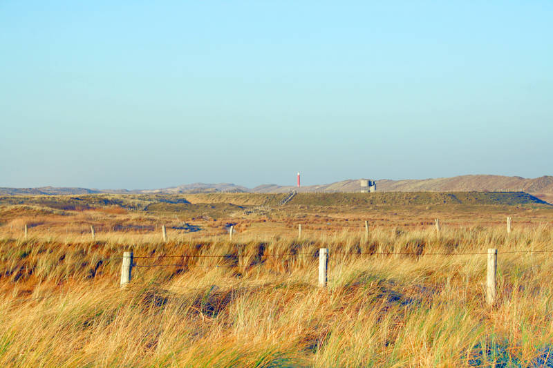 Duinen van Noord-Holland