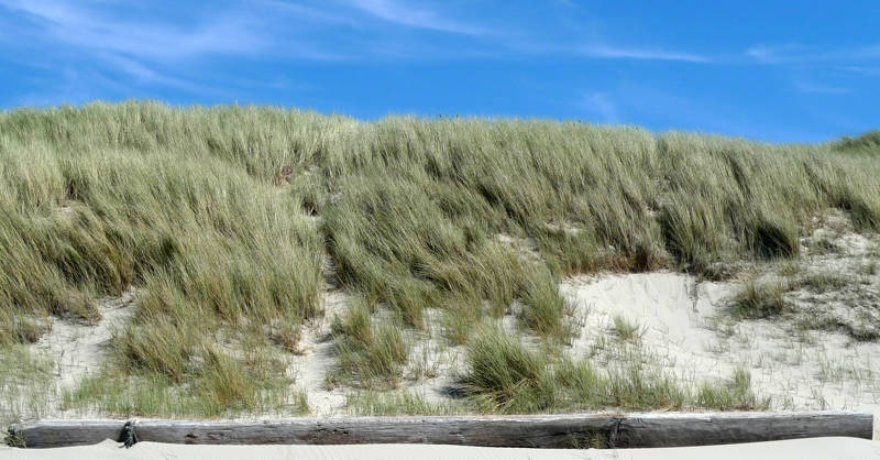 Duinen van Groote Keeten