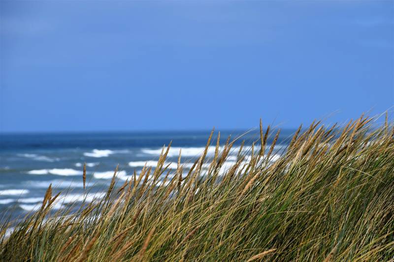 Strand van Callantsoog