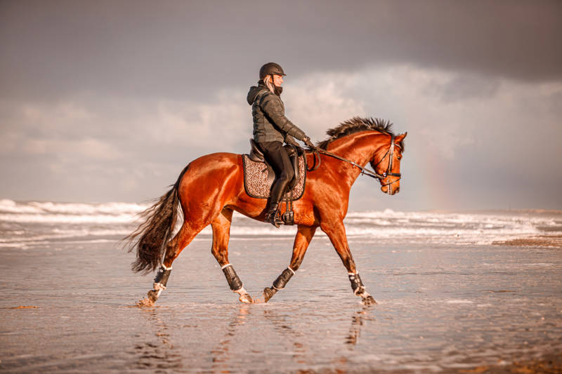 paardrijden paarden strandrit