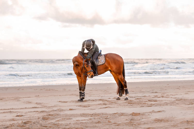 paardrijden paarden strandrit