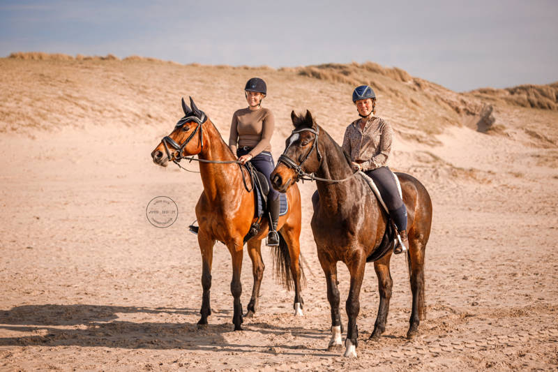 paarden strand 